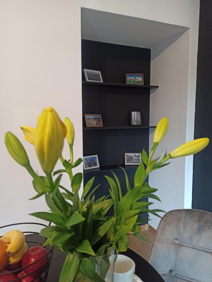 Ferienwohnung Cztery Katy W Rynku Waldenburg Exterior foto
